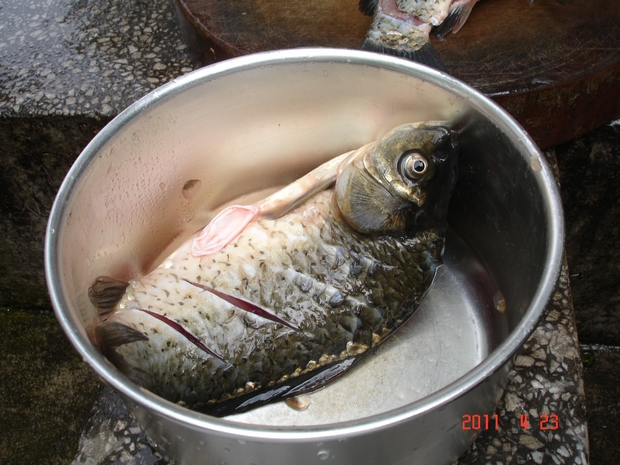 DSC00040.JPG