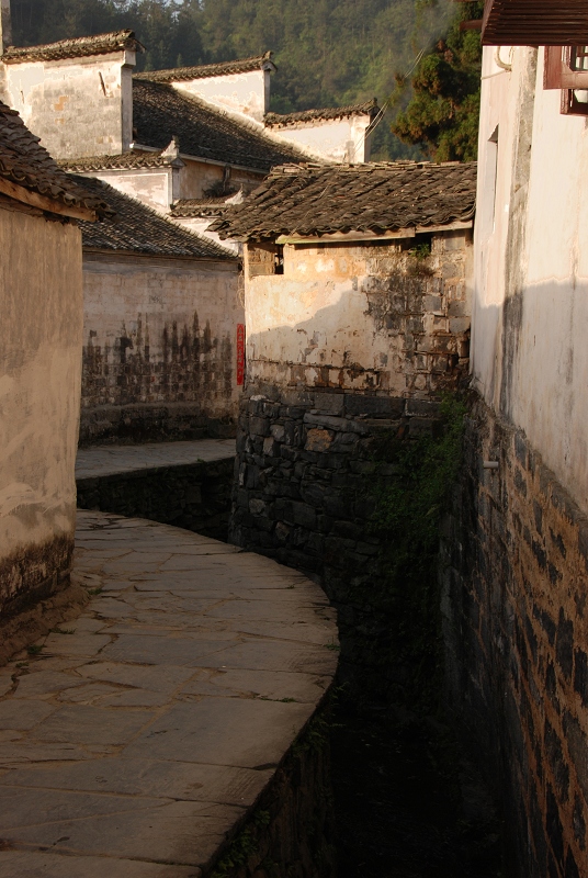 DSC_0352.JPG