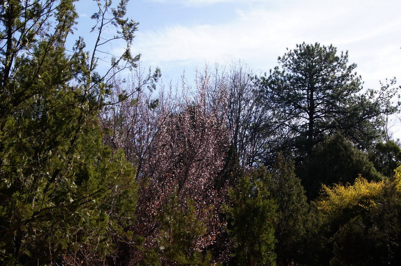 DSC04841_��С��С.jpg