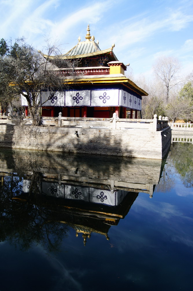 DSC04848_��С��С.JPG