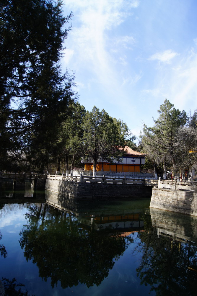 DSC04851_��С��С.JPG