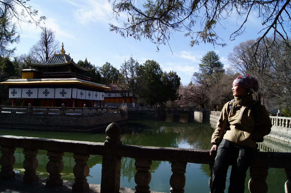 DSC04860_��С��С.JPG