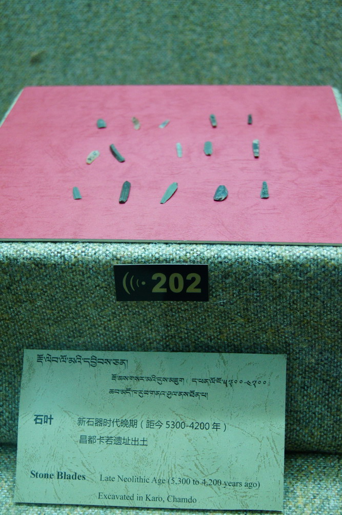 DSC04876_��С��С.JPG
