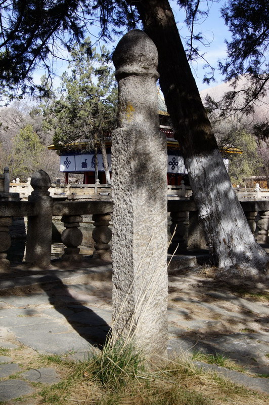 DSC04852_��С��С.jpg