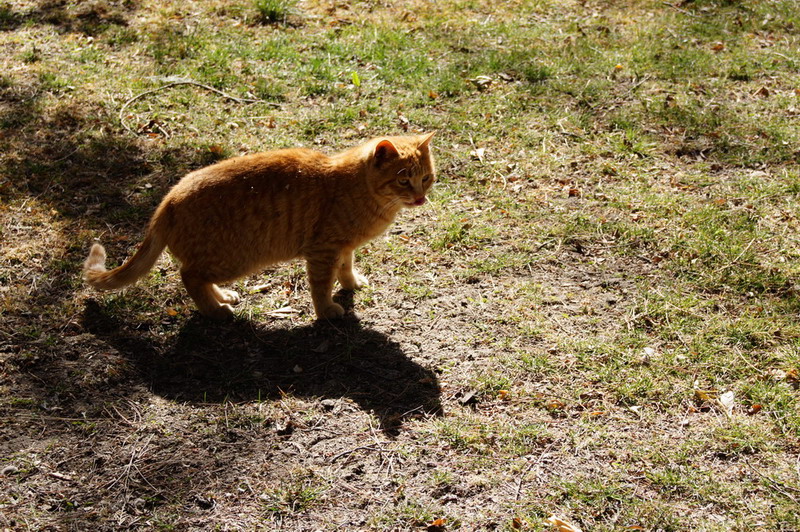 DSC04858_��С��С.jpg