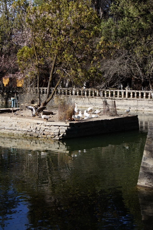 DSC04854_��С��С.jpg