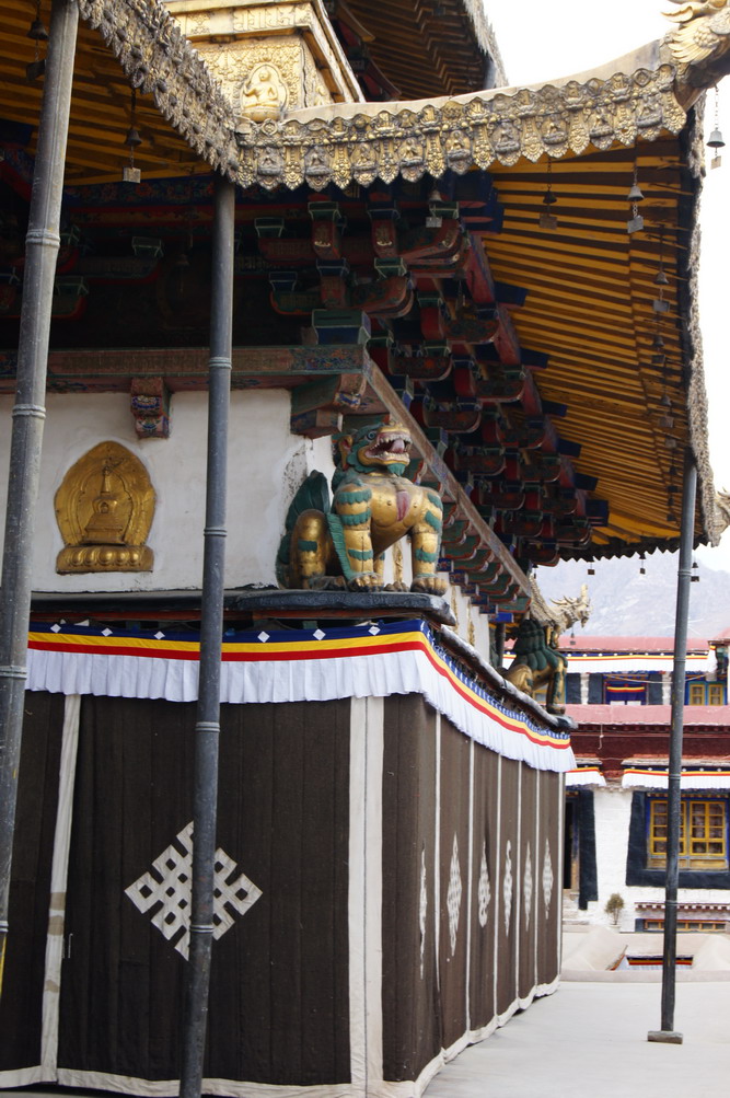DSC04990_��С��С.JPG