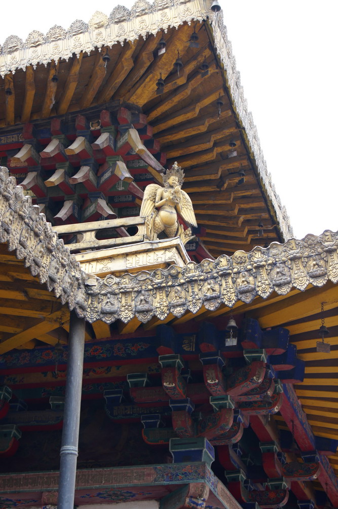 DSC04991_��С��С.JPG