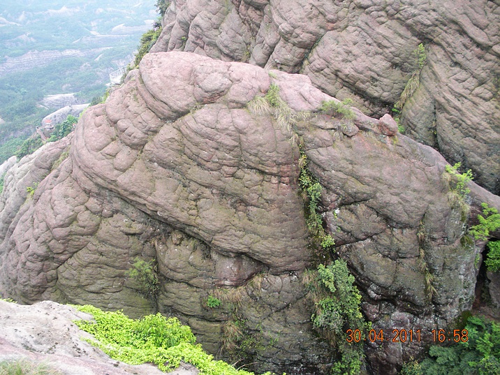 DSCN9868.jpg