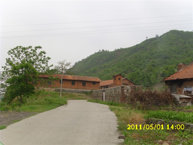 http_imgload62.jpg