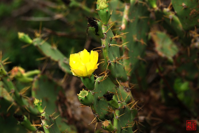 DSC_0208_nEO_IMG.jpg
