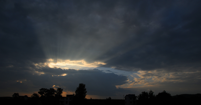 DSC_1003.jpg