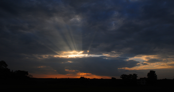 DSC_1012.jpg