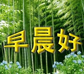 �糿��.JPG