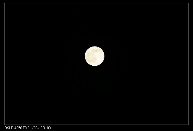 DSC08489.jpg