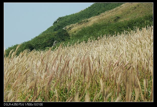 DSC08561.jpg