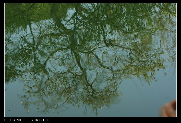 DSC08669.jpg
