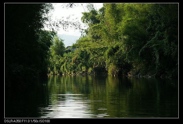 DSC08692.jpg