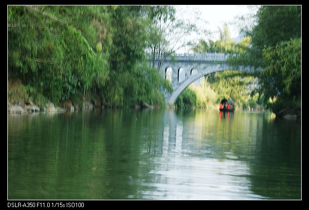 DSC08696.jpg
