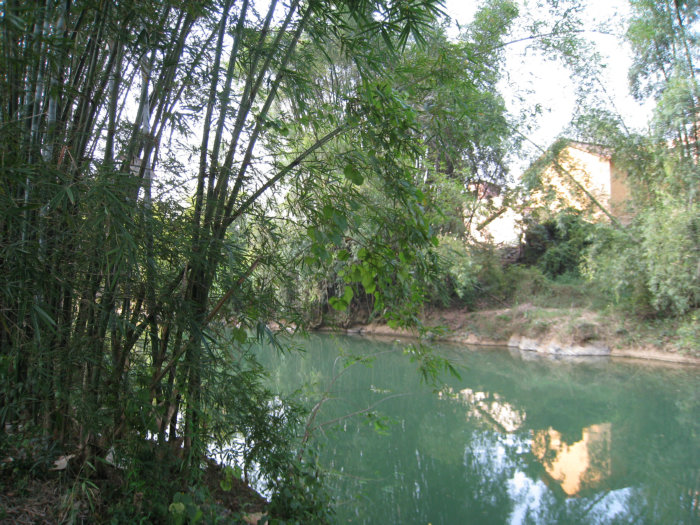 IMG_4125.jpg
