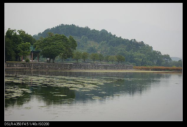 DSC08739.jpg