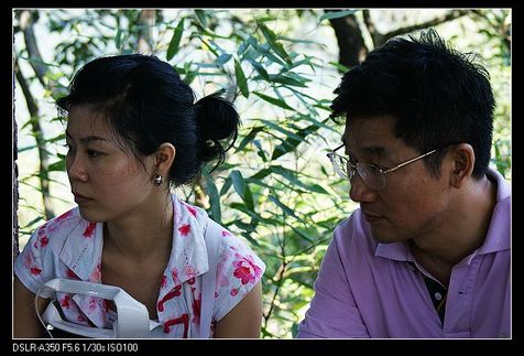 DSC08522.jpg