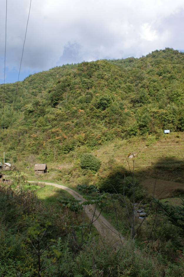 DSC06677.JPG