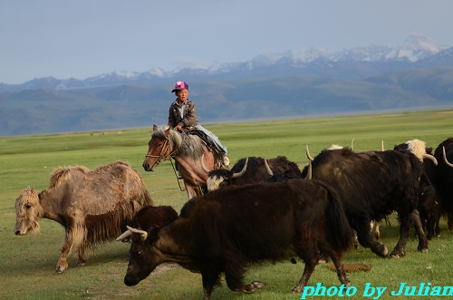 DSC_2169.jpg