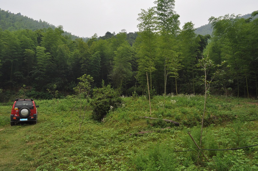 DSC_0125.JPG