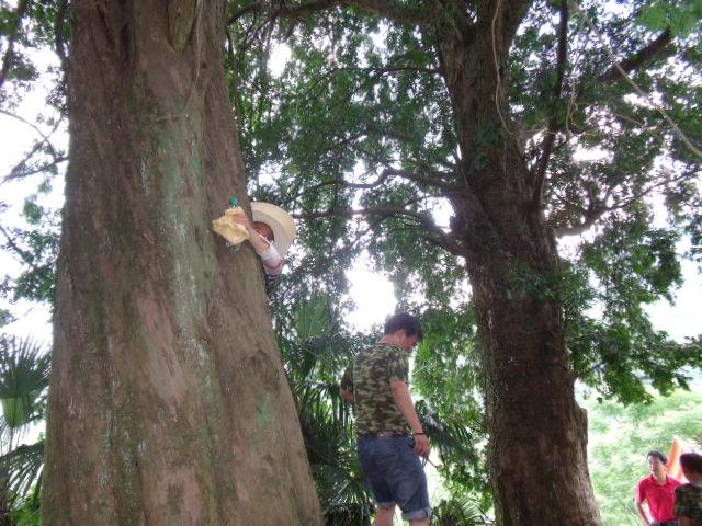 DSCF6981.JPG