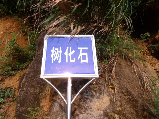 DSCF6998.JPG