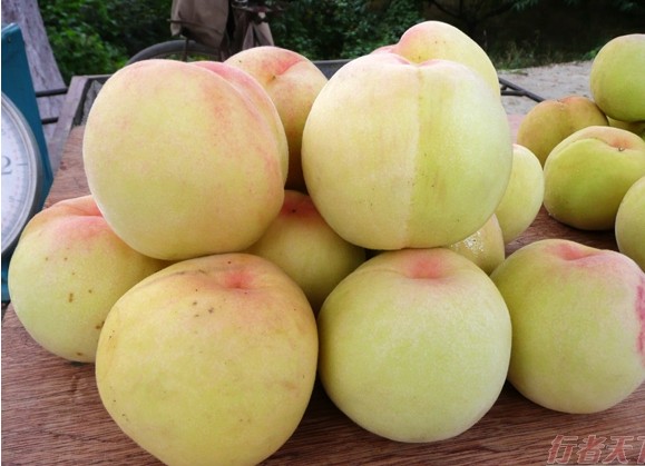 QQ��ͼ20110714154420.jpg