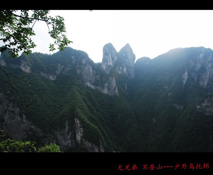 conew_dsc_3687.jpg