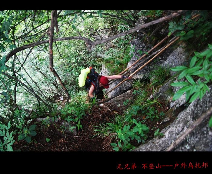 conew_dsc_3740.jpg