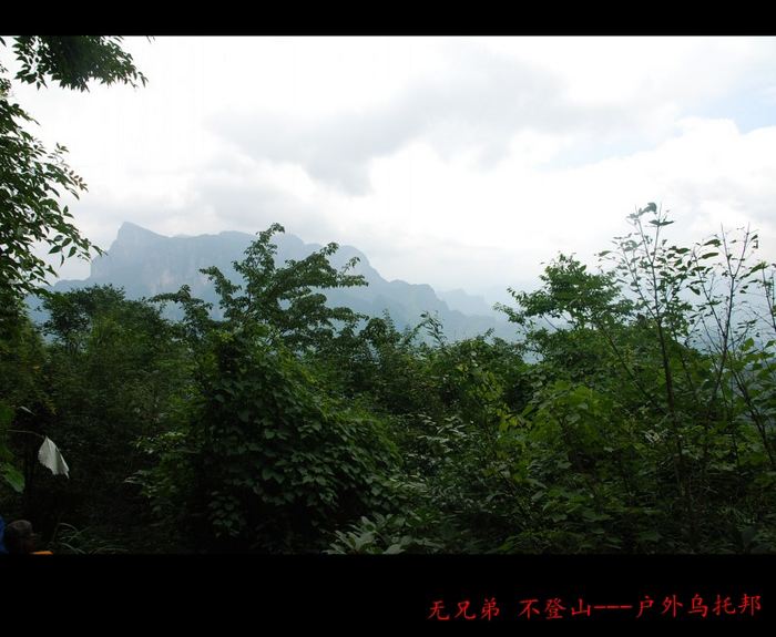 conew_dsc_3908.jpg