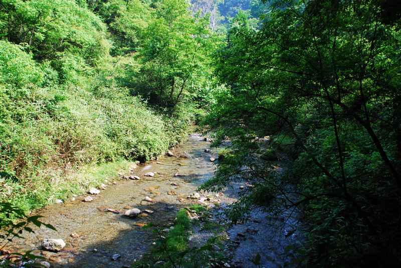 DSC_5959.JPG