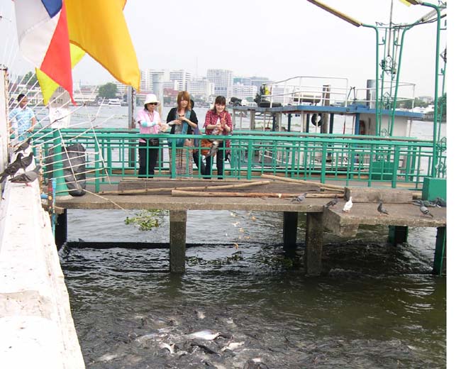 DSCN0128.JPG