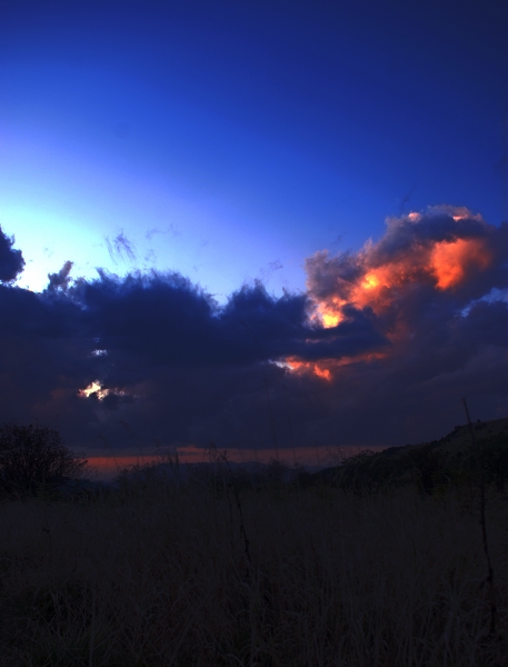 DSC_5217.jpg