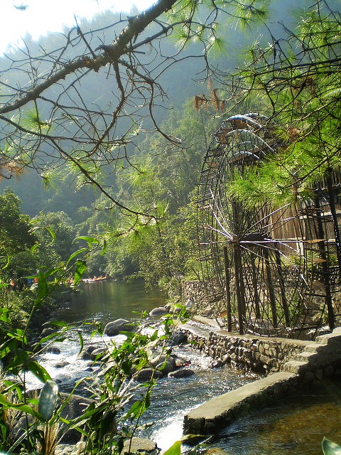 P1010092.jpg