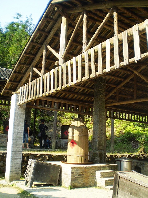 P1010090.jpg