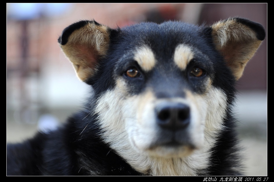 DSC_3759.jpg