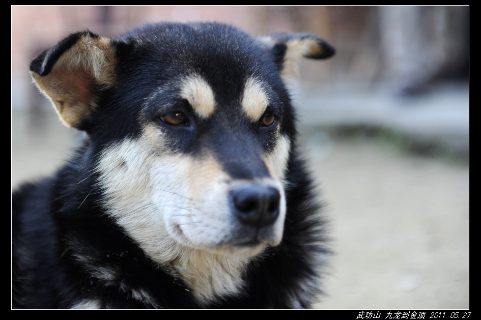 DSC_3761.jpg