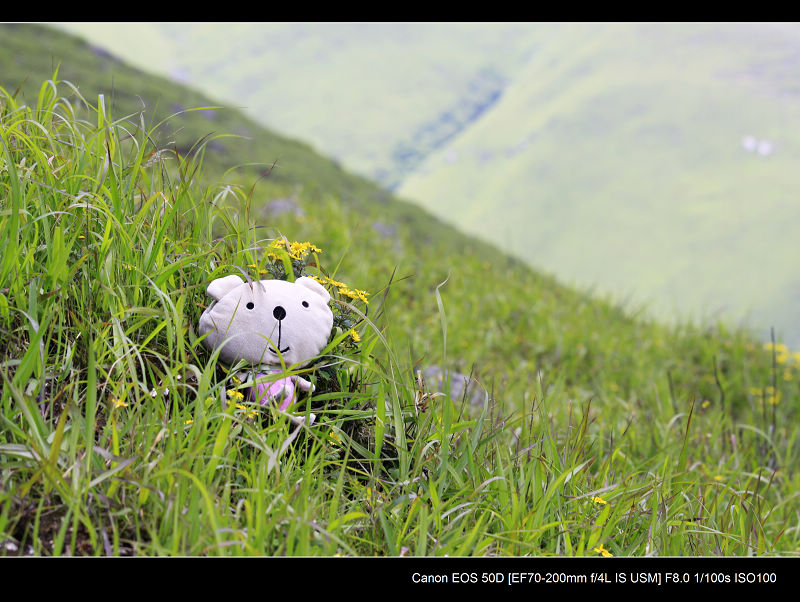 _MG_6963.jpg