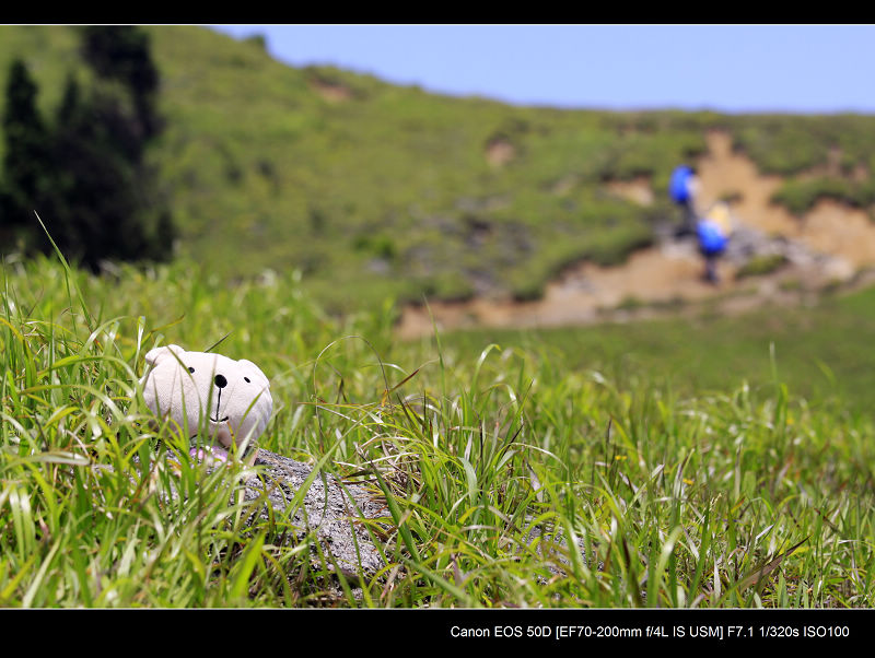 _MG_6969.jpg
