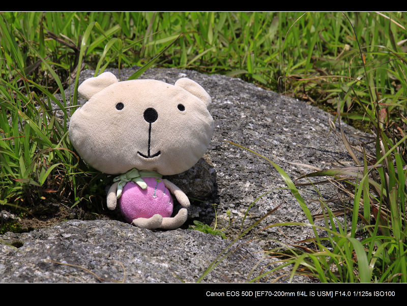 _MG_6970.jpg