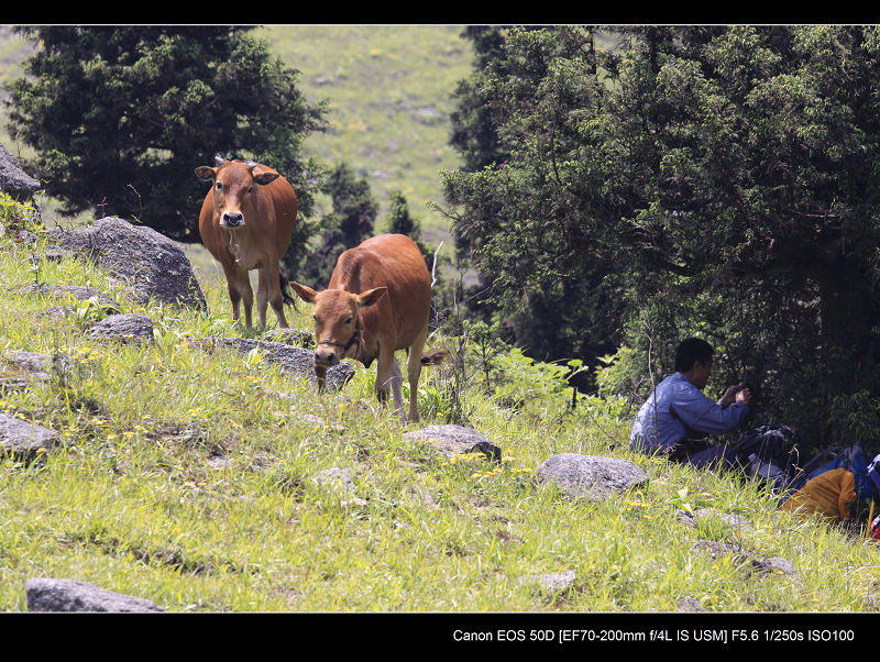 _MG_6976.jpg