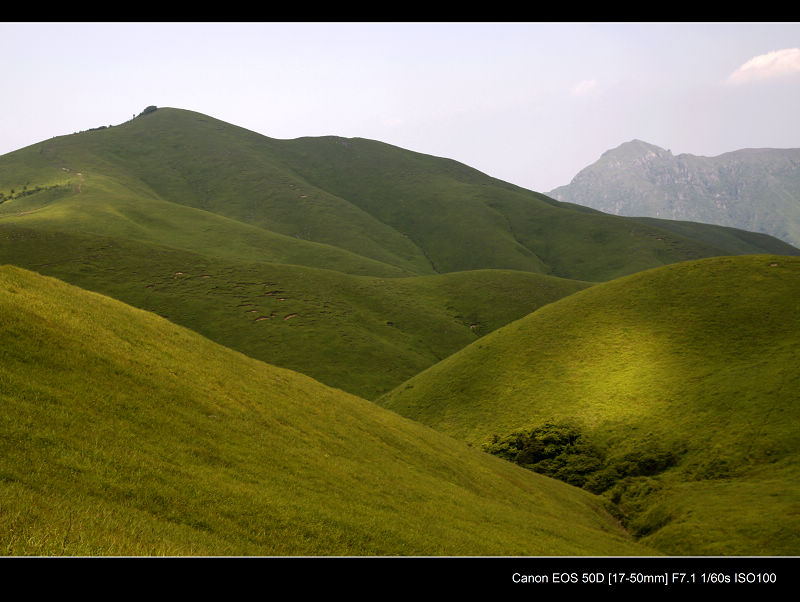 _MG_7060.jpg