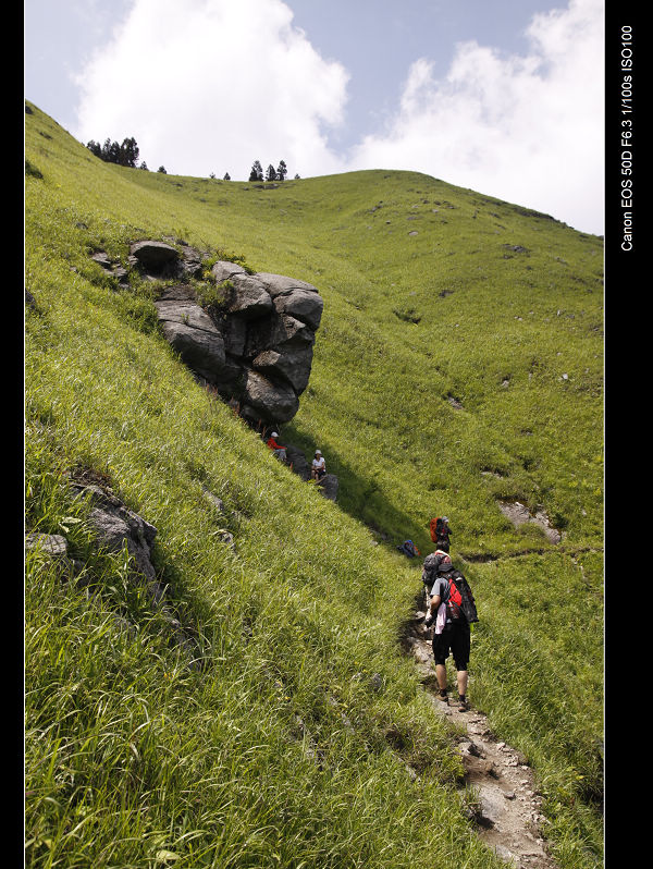 _MG_7041.jpg