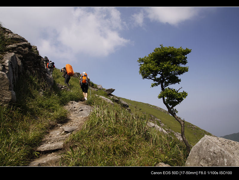 _MG_7070.jpg