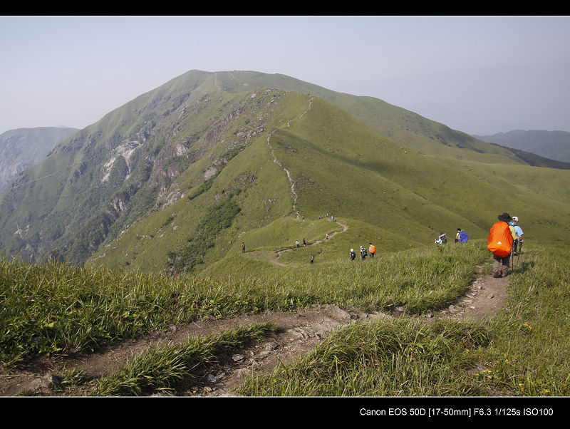 _MG_7084.jpg